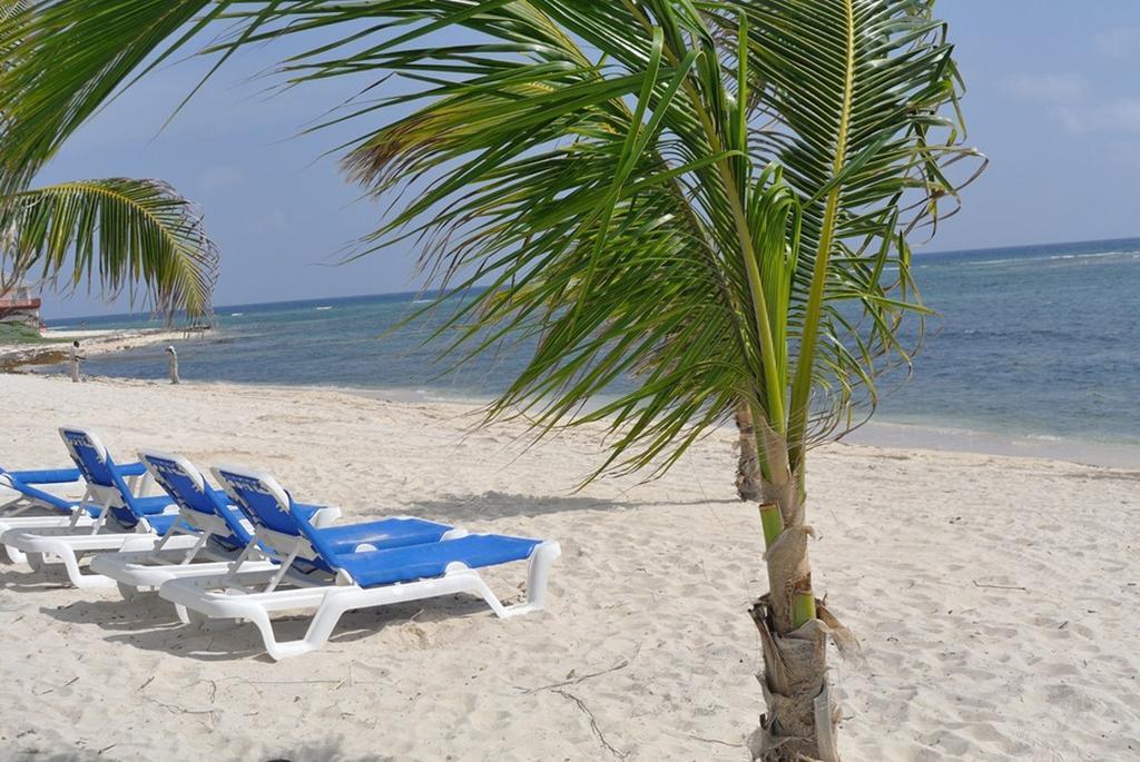 منتجع كاستوايس كايمان بيتش Grand Cayman المظهر الخارجي الصورة